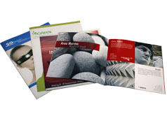 Stapled Binding - Online printing booklets with metal point 