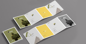 Foldout and 2,3,4-fold brochures 