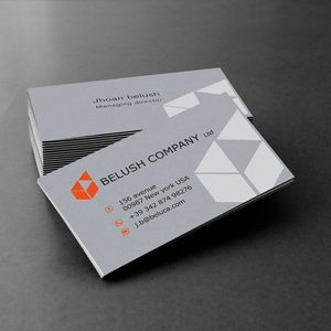 carta Silver Gray Card