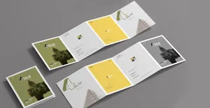 Foldout and 2,3,4-fold brochures 